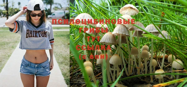 твердый Абинск
