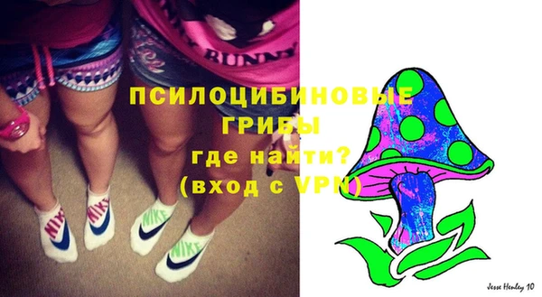 твердый Абинск